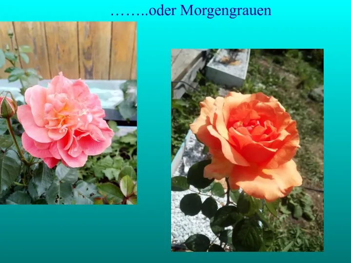 ……..oder Morgengrauen