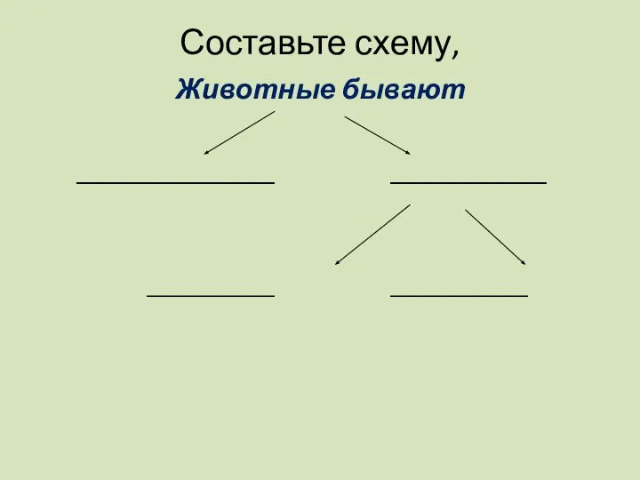 Составьте схему, Животные бывают ______________ ___________ ____________ _____________