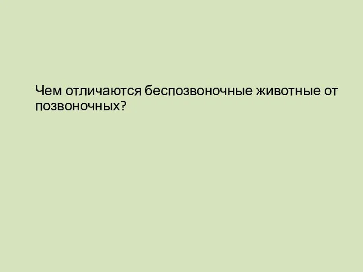 Чем отличаются беспозвоночные животные от позвоночных?