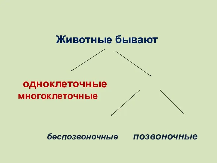 Животные бывают одноклеточные многоклеточные беспозвоночные позвоночные