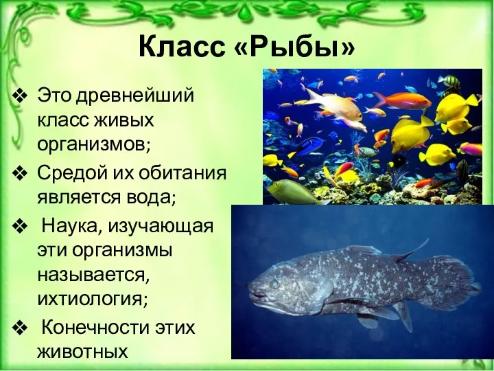 Класс «Рыбы» Это древнейший класс живых организмов; Средой их обитания является вода;