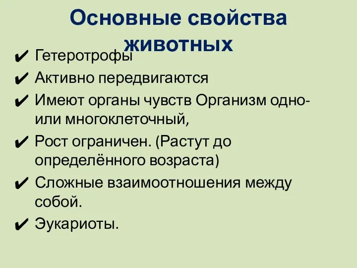 Основные свойства животных Гетеротрофы Активно передвигаются Имеют органы чувств Организм одно- или