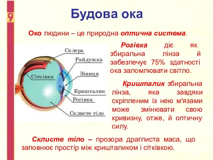 Будова ока Око людини – це природна оптична система. Рогівка діє як