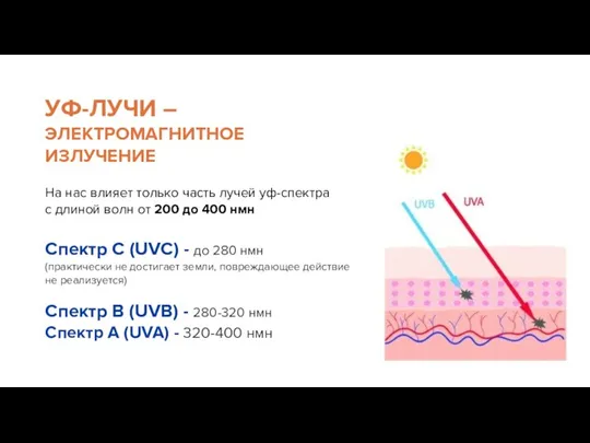 На нас влияет только часть лучей уф-спектра с длиной волн от 200