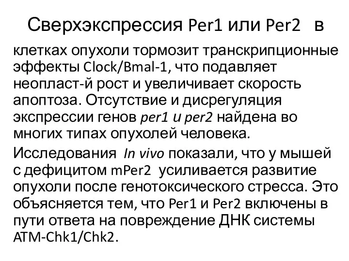 Сверхэкспрессия Per1 или Per2 в клетках опухоли тормозит транскрипционные эффекты Clock/Bmal-1, что