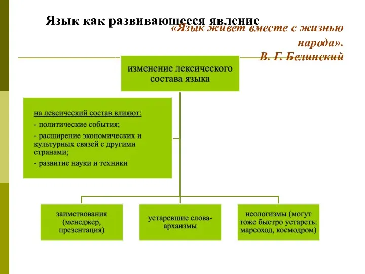 Язык как развивающееся явление «Язык живет вместе с жизнью народа». В. Г. Белинский