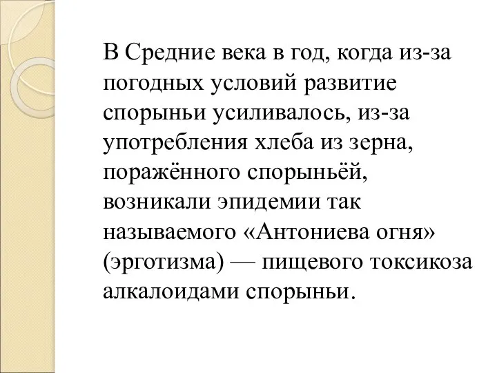 В Средние века в год, когда из-за погодных условий развитие спорыньи усиливалось,