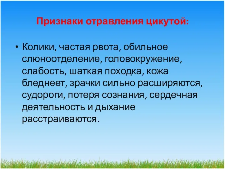 Признаки отравления цикутой: Колики, частая рвота, обильное слюноотделение, головокружение, слабость, шаткая походка,