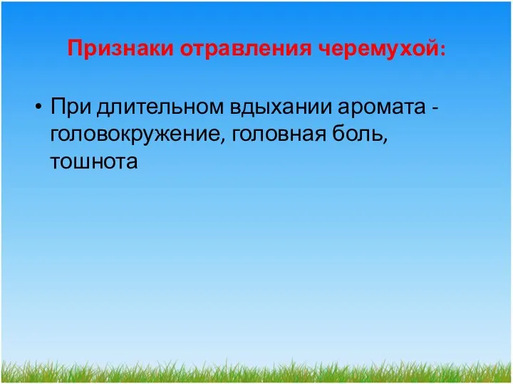 Признаки отравления черемухой: При длительном вдыхании аромата - головокружение, головная боль, тошнота