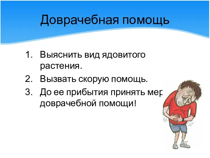 Доврачебная помощь Выяснить вид ядовитого растения. Вызвать скорую помощь. До ее прибытия принять меры доврачебной помощи!