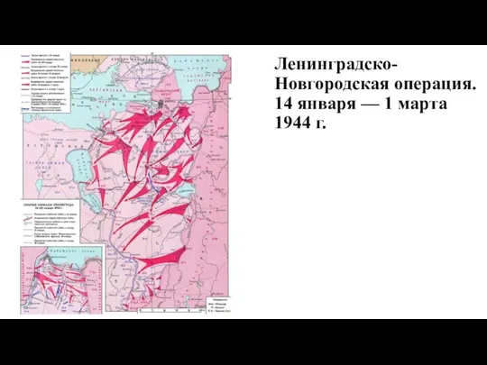 Ленинградско-Новгородская операция. 14 января — 1 марта 1944 г.