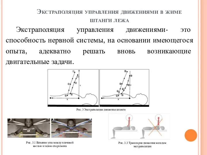 Экстраполяция управления движениями в жиме штанги лежа Экстраполяция управления движениями- это способность