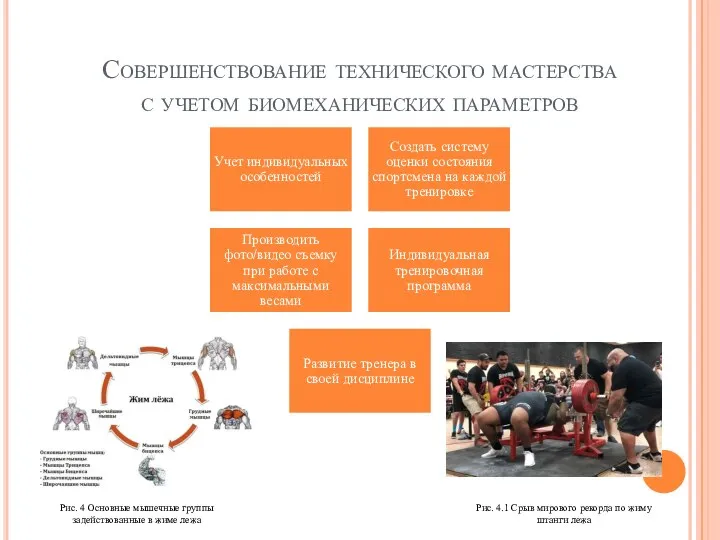 Совершенствование технического мастерства с учетом биомеханических параметров Рис. 4 Основные мышечные группы