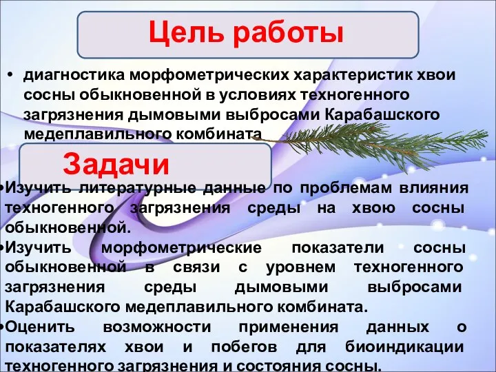 Цель работы диагностика морфометрических характеристик хвои сосны обыкновенной в условиях техногенного загрязнения