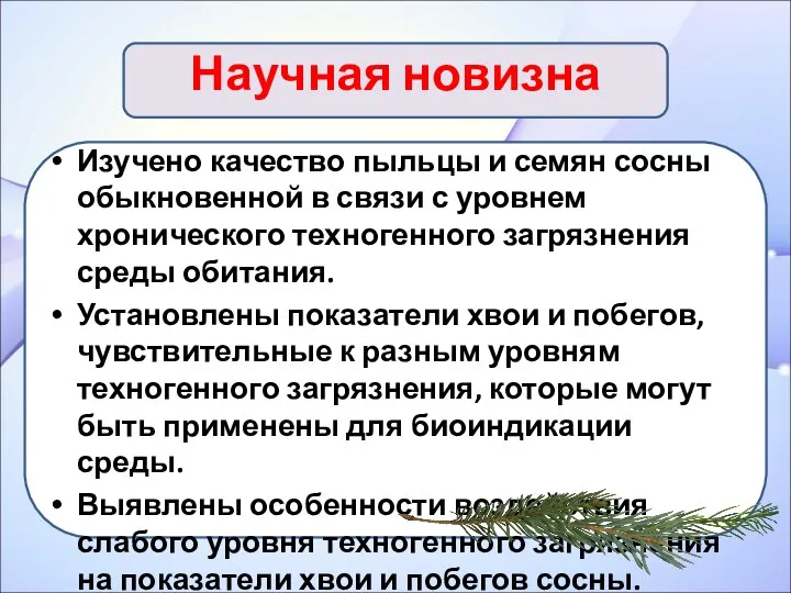 Научная новизна Изучено качество пыльцы и семян сосны обыкновенной в связи с