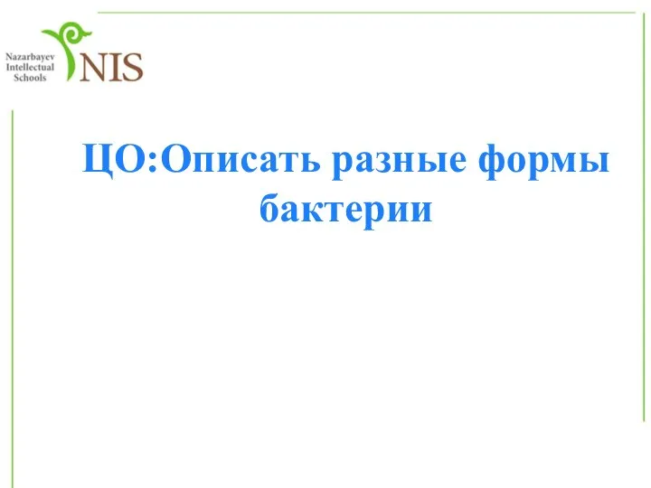 ЦО:Описать разные формы бактерии