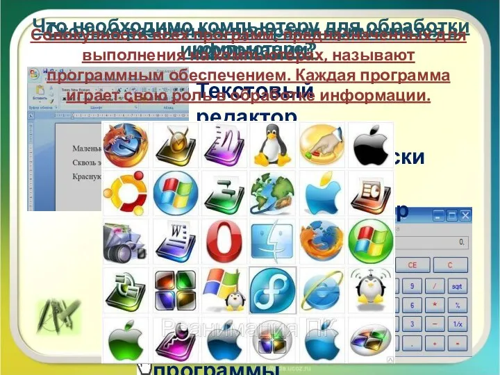 Что необходимо компьютеру для обработки информации? Текстовый редактор Графический редактор Вычислительные программы