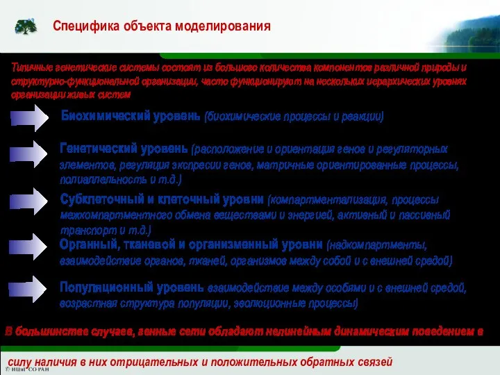 Специфика объекта моделирования Типичные генетические системы состоят из большого количества компонентов различной