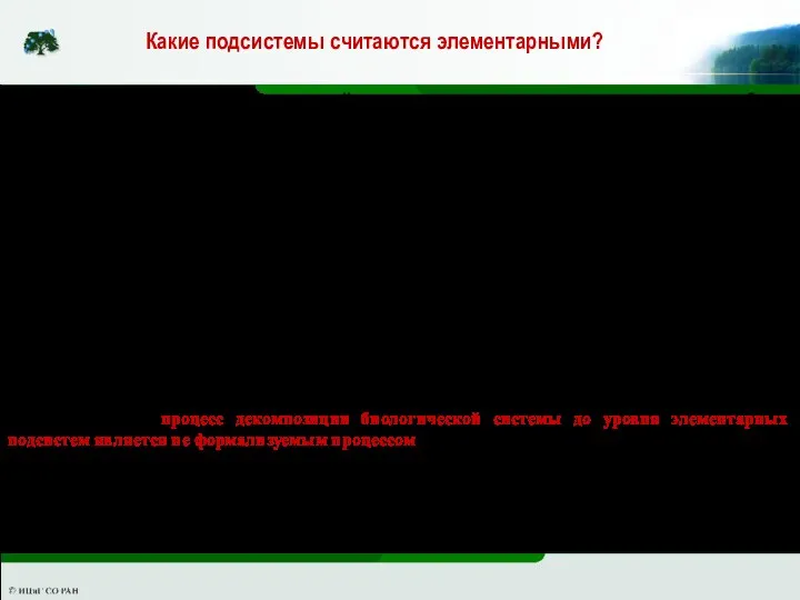 Какие подсистемы считаются элементарными? Элементарной подсистемой моделируемой системы считается подсистема, которая может