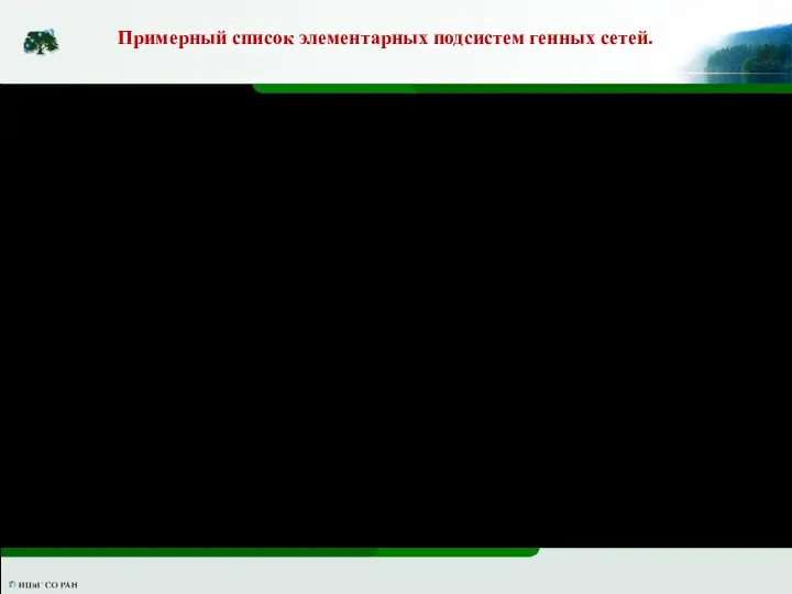 Примерный список элементарных подсистем генных сетей. При этом следует помнить, что обычно