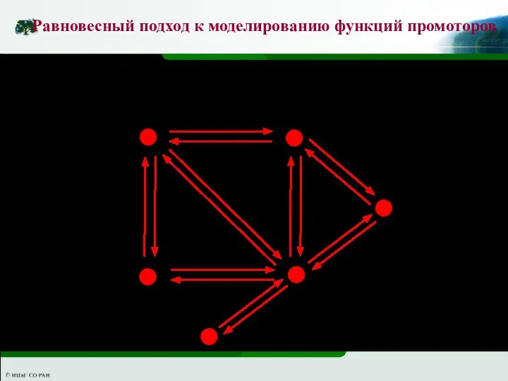 Равновесный подход к моделированию функций промоторов g gA gP gR gAR gAP