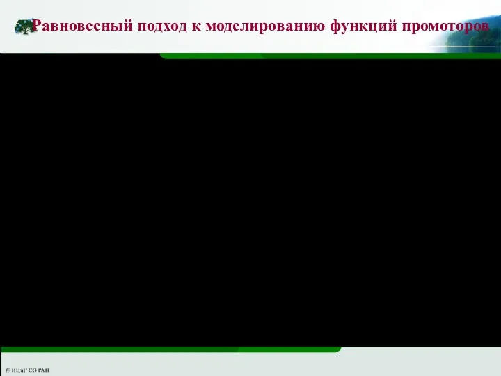 Итоговые формулы элементарной модели функционирования гипотетического промотора Равновесный подход к моделированию функций промоторов