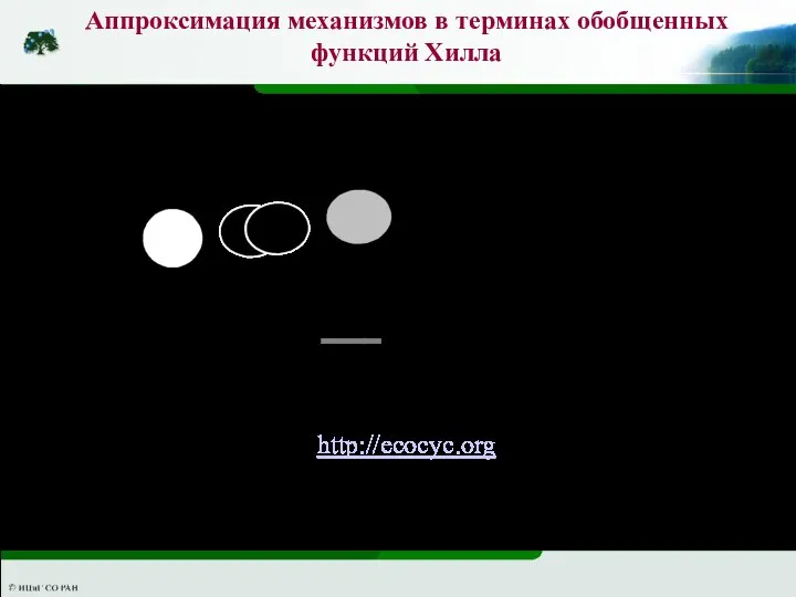 Аппроксимация механизмов в терминах обобщенных функций Хилла Модель регуляции экспрессии оперона cyoABCDE