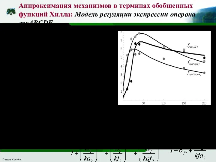 Аппроксимация механизмов в терминах обобщенных функций Хилла: Модель регуляции экспрессии оперона cyoABCDE