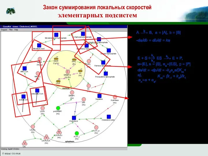 A ⎯→ B, a = [A], b = [B] k -da/db =