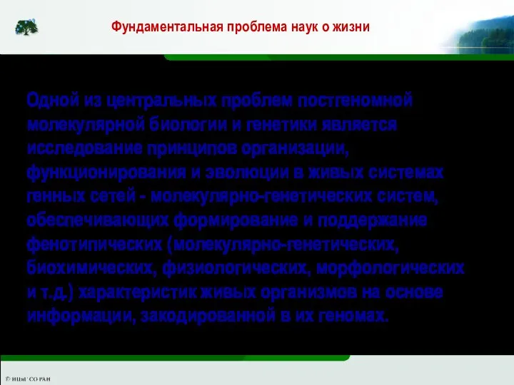 Фундаментальная проблема наук о жизни Одной из центральных проблем постгеномной молекулярной биологии