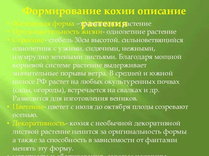 Формирование кохии описание растения Жизненная форма –травянистое растение Продолжительность жизни- однолетние растение