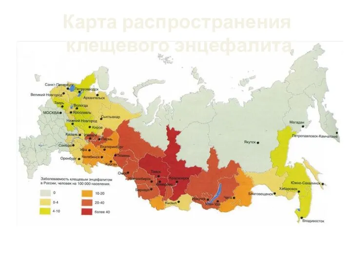 Карта распространения клещевого энцефалита