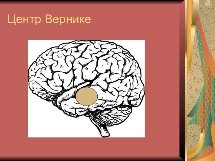 Центр Вернике