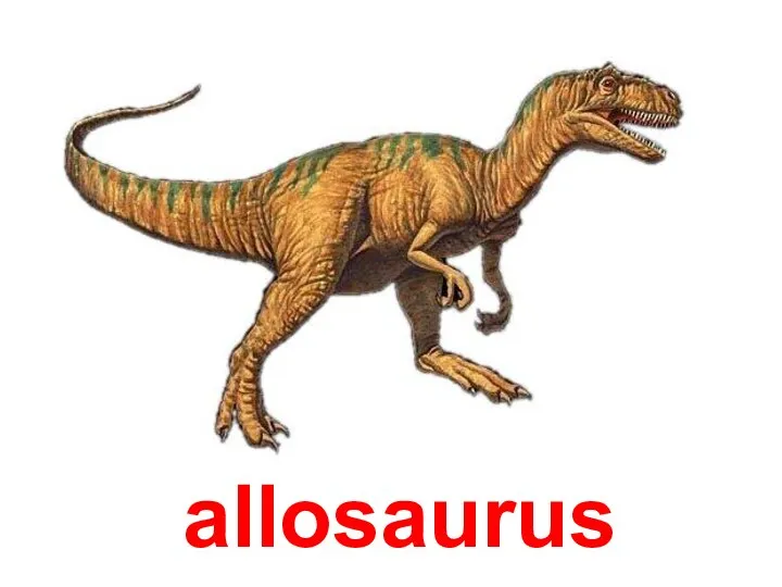 allosaurus