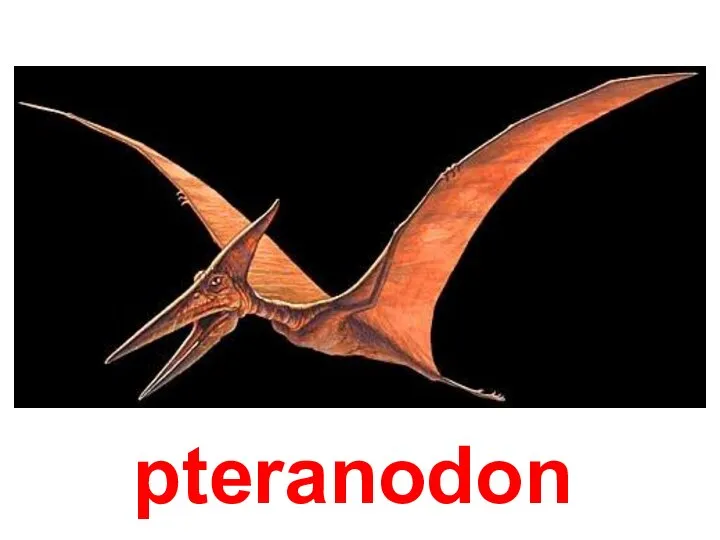 pteranodon