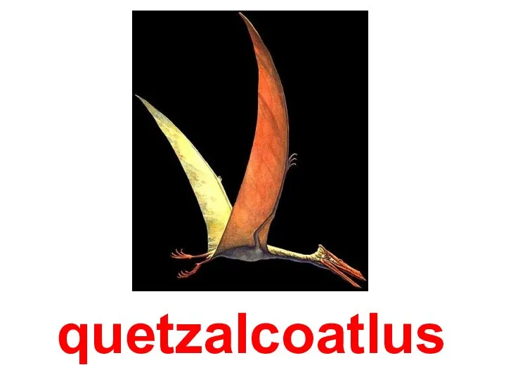 quetzalcoatlus