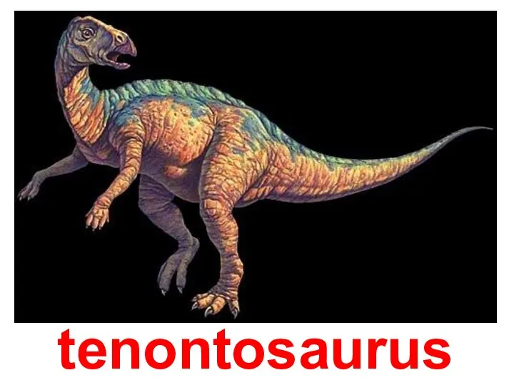 tenontosaurus