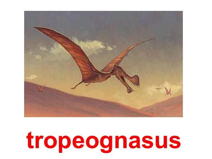 tropeognasus