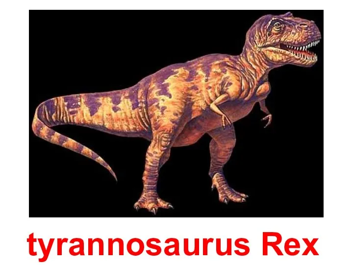 tyrannosaurus Rex