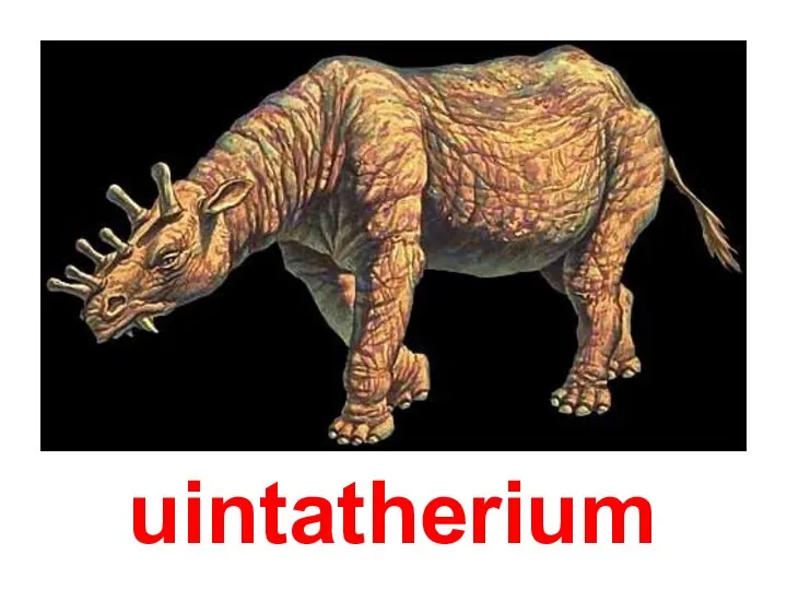 uintatherium