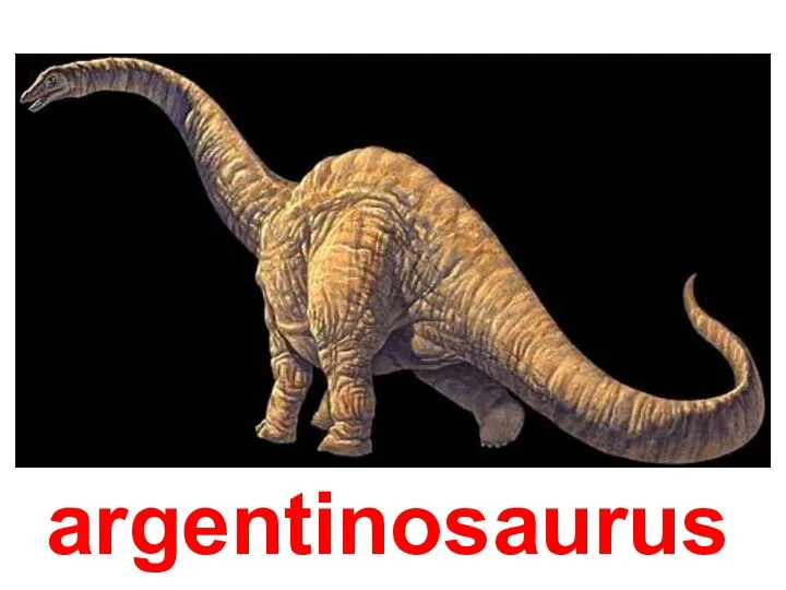 argentinosaurus