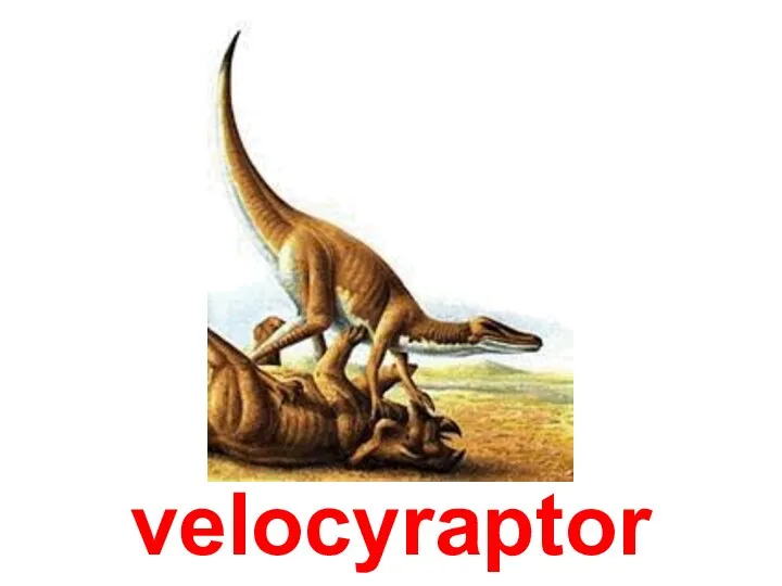 velocyraptor