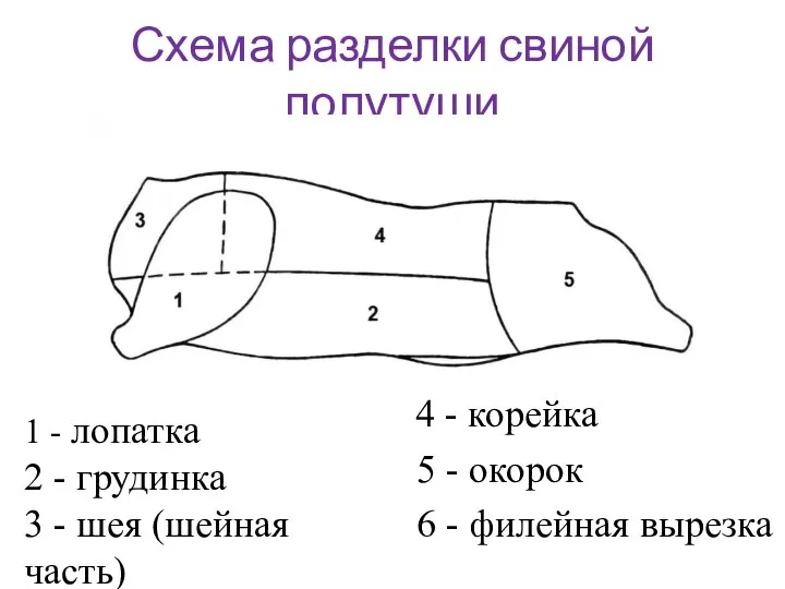 Схема разделки свиной полутуши 1 - лопатка 2 - грудинка 3 -