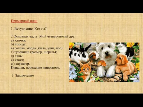 Примерный план 1. Вступление. Кто ты? 2.Основная часть. Мой четвероногий друг. а)