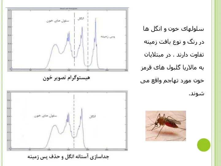 سلولهای خون و انگل ها در رنگ و نوع بافت زمینه تفاوت