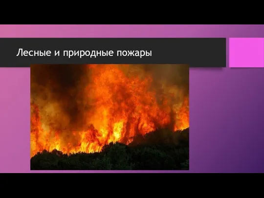 Лесные и природные пожары