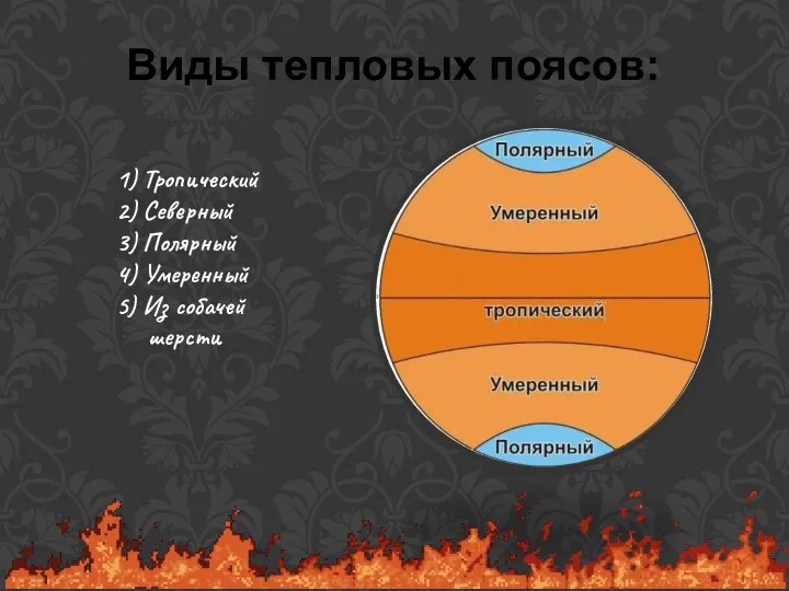 Виды тепловых поясов: 1) Тропический 2) Северный 3) Полярный 4) Умеренный 5) Из собачей шерсти