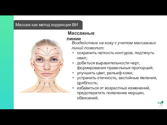 Массаж как метод коррекции ВИ Массажные линии Воздействие на кожу с учетом