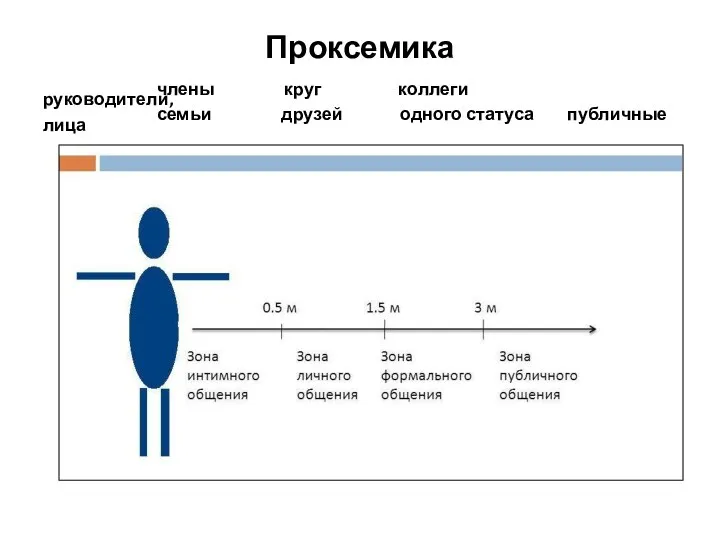 Проксемика члены круг коллеги руководители, семьи друзей одного статуса публичные лица