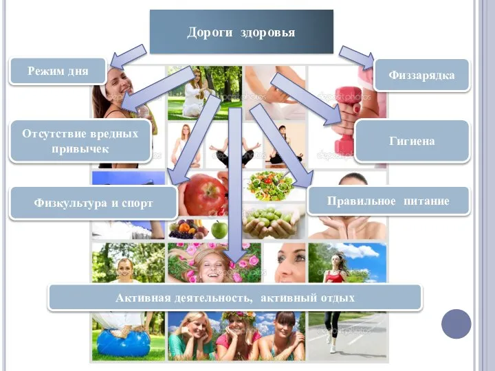 Дороги здоровья Режим дня Физзарядка Отсутствие вредных привычек Гигиена Физкультура и спорт